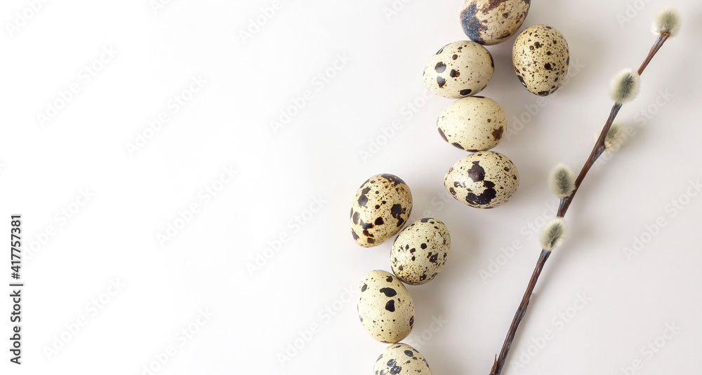 quail eggs and a sprig of pussy willow on a white background. Concept for a minimalistic Easter card quail eggs and a sprig of pussy willow on a white background. Concept for a minimalistic Easter card