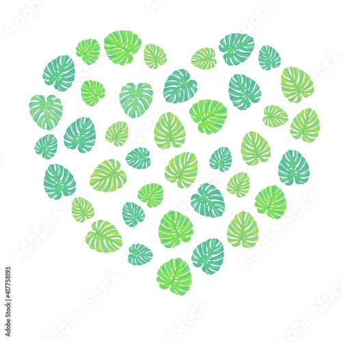 heart shaped monstera leaves. monstera leaves on a white background. stock vector illustration isolated on white background.