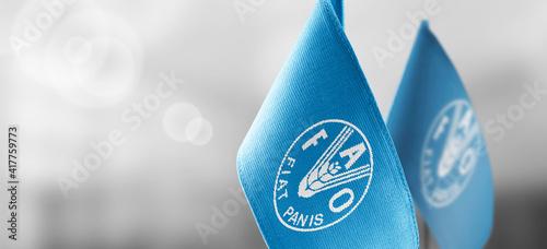 Patch of the national flag of the Food and agriculture organization on a white t-shirt