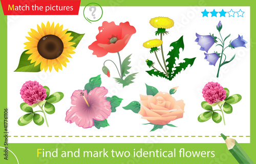 Find and mark two identical items. Puzzle for kids. Matching game, education game for children. Color images of summer field flowers. Dandelion, bluebell or bellflower, clover, poppy, rose, sunflower