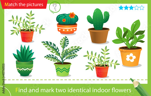 Find and mark two identical items. Puzzle for kids. Matching game, education game for children. Color images of houseplants or indoor plants