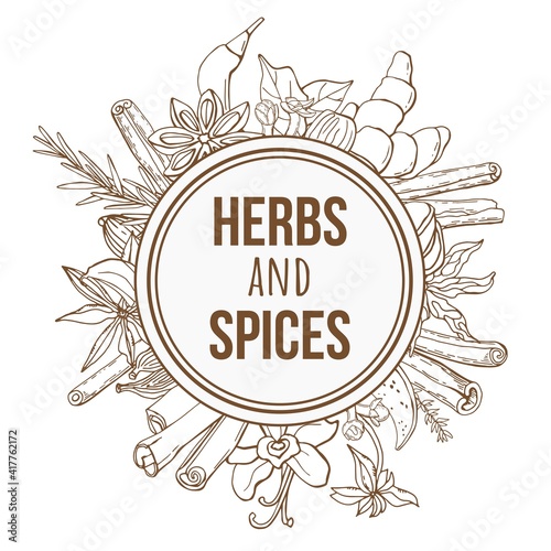 Hand-drawing background with organic and natural sketch herbs and spices.