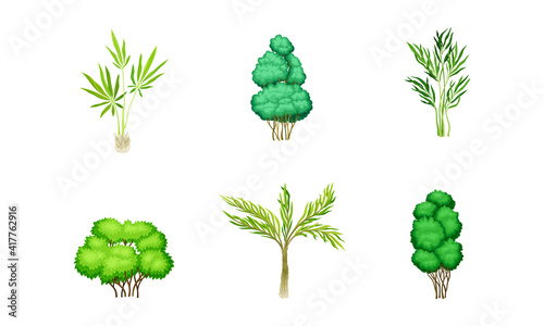 Trees with Exuberant Green Foliage and Trunk Vector Set