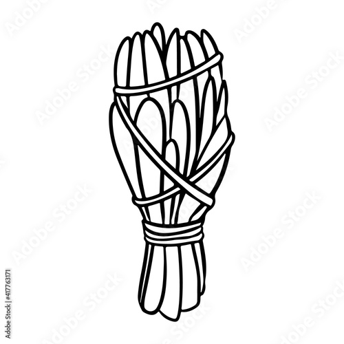 Sage smudge stick with threads hand-drawn doodle isolated icon. Vector stock plant leaves image. White sage herb bundle