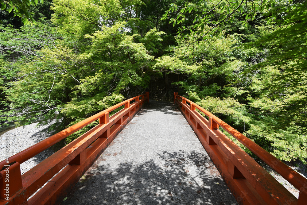 西明寺 指月橋 京都市 西明寺 指月橋 京都市