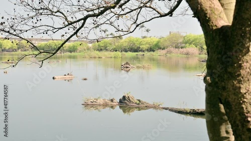 Beautiful lakescape on a sunny day with the sunlight and breeze. photo