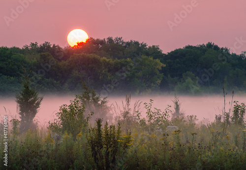 627-73 Springbrook Sunrise Pink photo