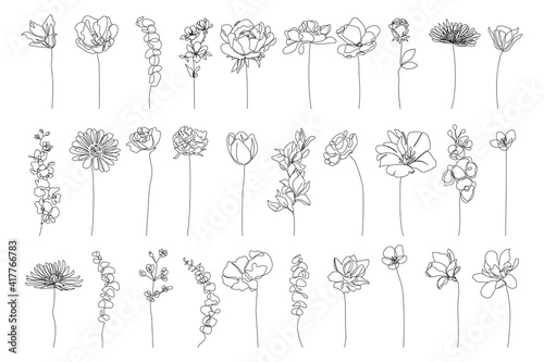 Continuous Line Drawing Set Of Plants Black Sketch of Flowers Isolated on White Background. Flowers One Line Illustration. Minimalist Prints Set. Vector EPS 10. photo