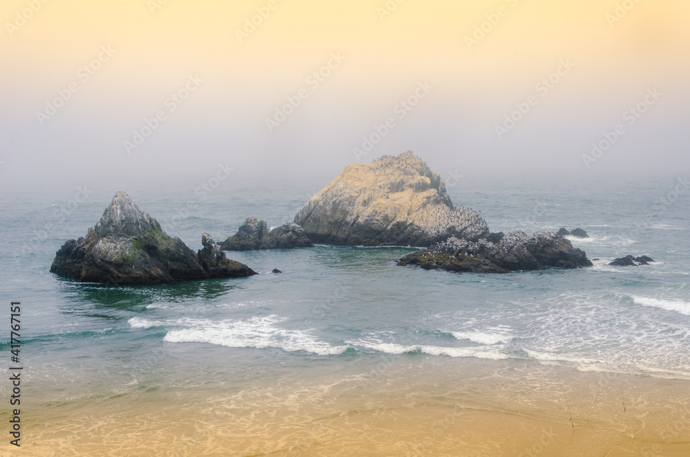 Sutro Baths were a large, privately owned public saltwater swimming pool complex in the Lands End area