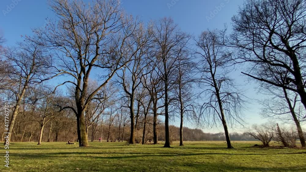 Spaziergang im Park im Frühjahr bei strahlendem Sonnenschein Spaziergang im Park im Frühjahr bei strahlendem Sonnenschein