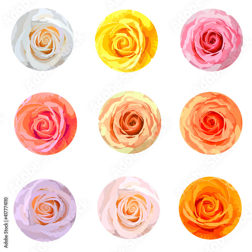 Roses heads circle backgrounds