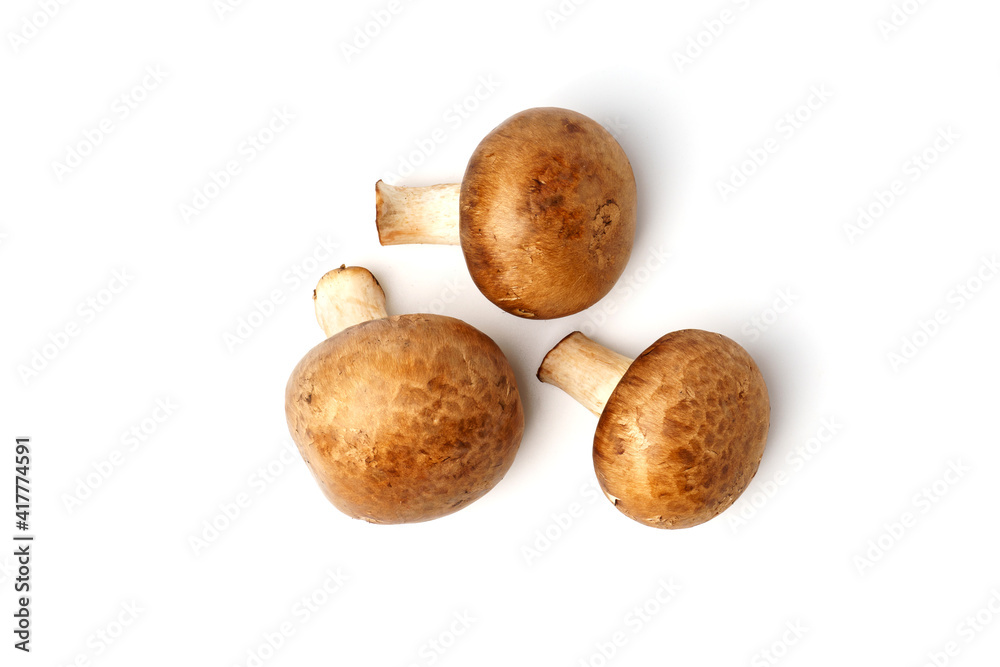 Top view of royal champignons isolated on white Top view of royal champignons isolated on white