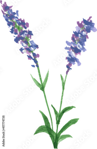 Watercolor clipart Lavender blossom and Leaf