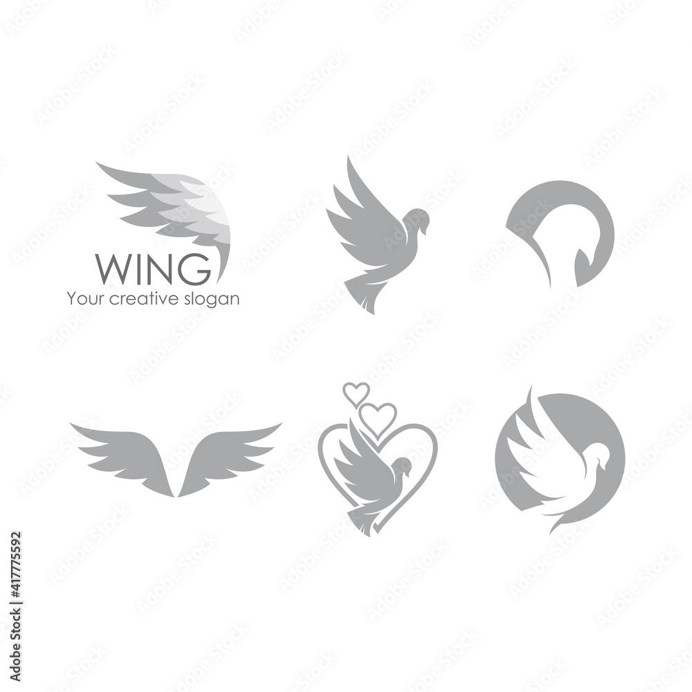 Fototapeta premium Dove