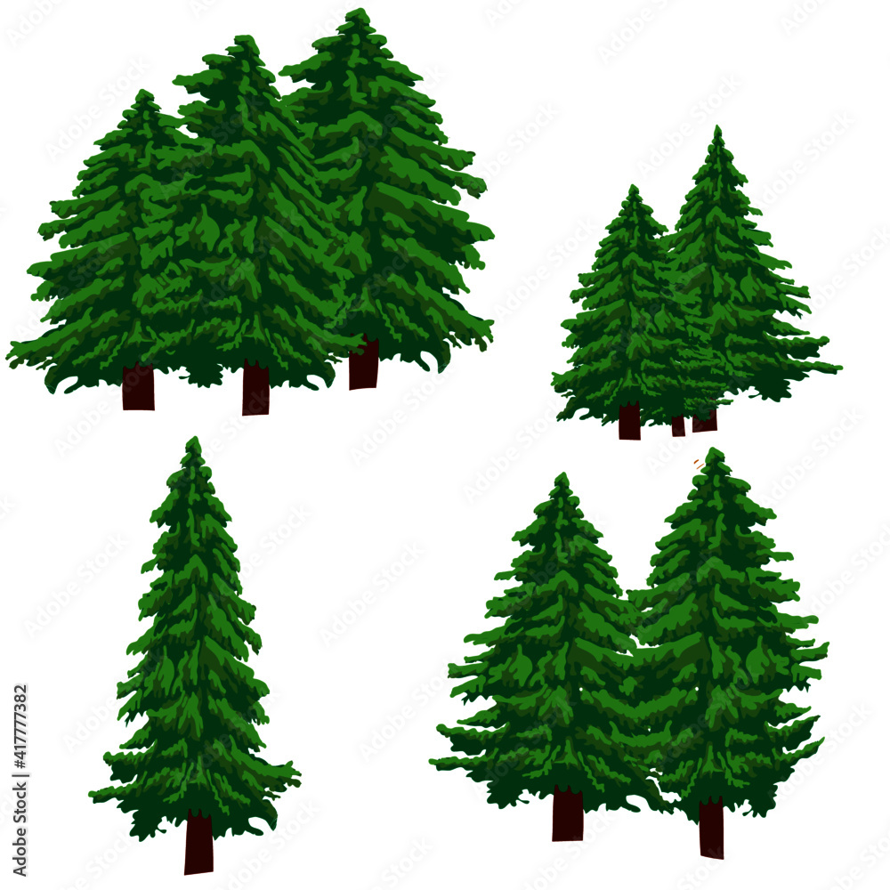 Set of fir trees isolated on white background, Vector illustration.