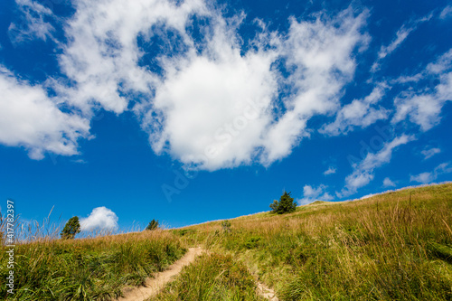 Polonina Carynska path in Bieszczady photo