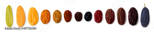 A variety of raisins. Row of dried grapes in different colors and sizes. White background. Top view. Realistic vector illustration photo