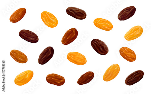 Sultanas, Golden and brown Thompson raisins isolated on white background. Realistic vector illustration.