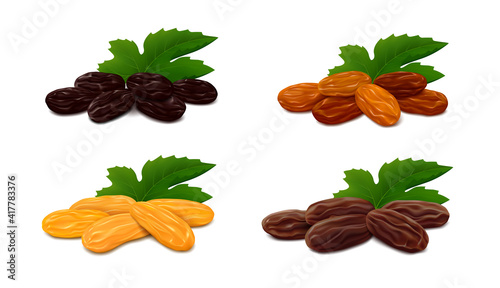 Heaps of raisins with leaf isolated on white background. Collection of different types of dried grapes (Zante currant, Sultana, Jumbo Golden and brown Thompson) Realistic vector illustration.
