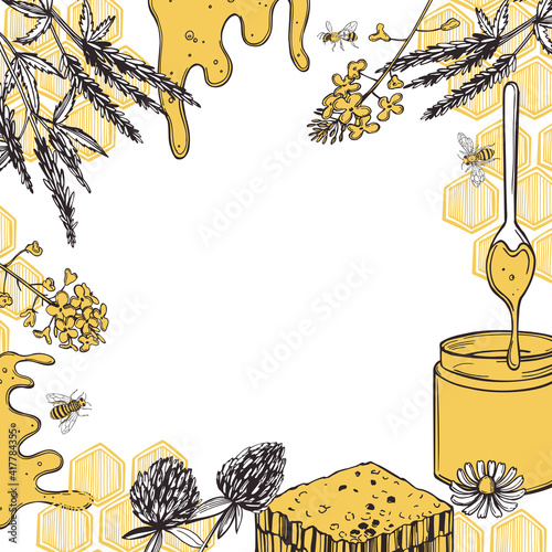 Honey set. Vector background.