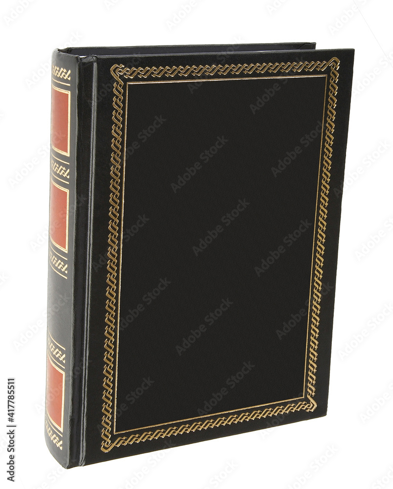 The book in leather cover isolated on white. The book in leather cover isolated on white.