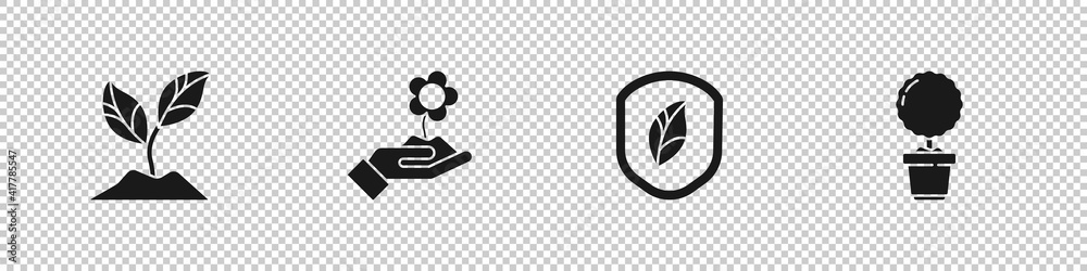 Set Plant, Hand holding flower, Shield with leaf and Flower pot icon. Vector.