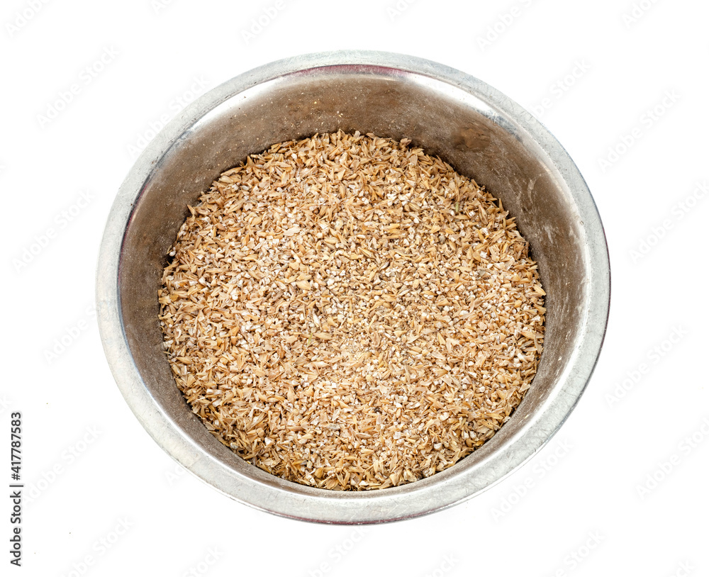 barley in studio barley in studio