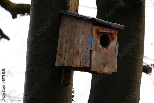 wooden bird house on a tree in the forest