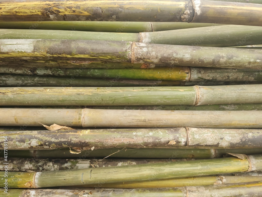 Brown bamboo fence background and texture. Brown bamboo fence background and texture.