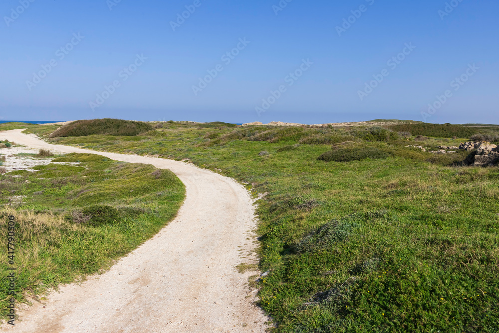 Country road to the sea between sea dunes covered with green grass and flowers. Mediterranean coast