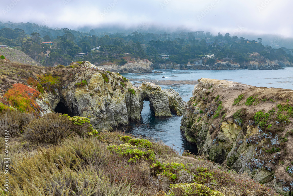 Beautiful landscape, view rocky Pacific Ocean coast at Point Lobos State Reserve in Carmel, California.