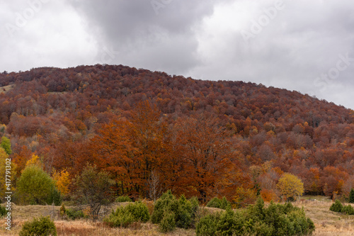 autumn in the mountains