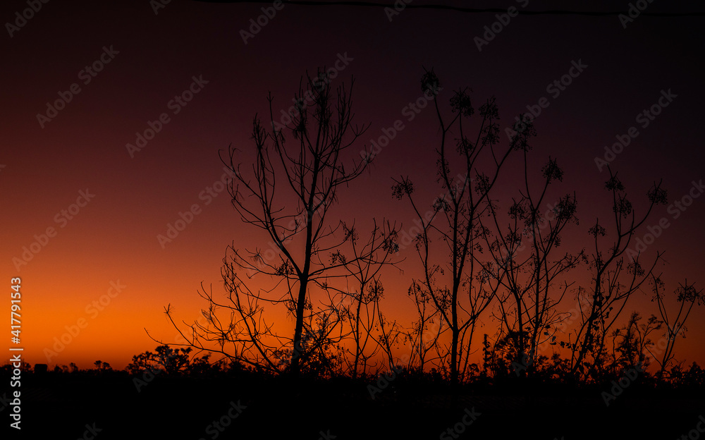 night nature panorama. orange silhouette and sky