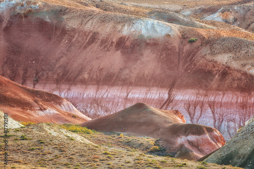 Landscape with colored rocks, Ustyurt Plateau, Uzbekistan photo