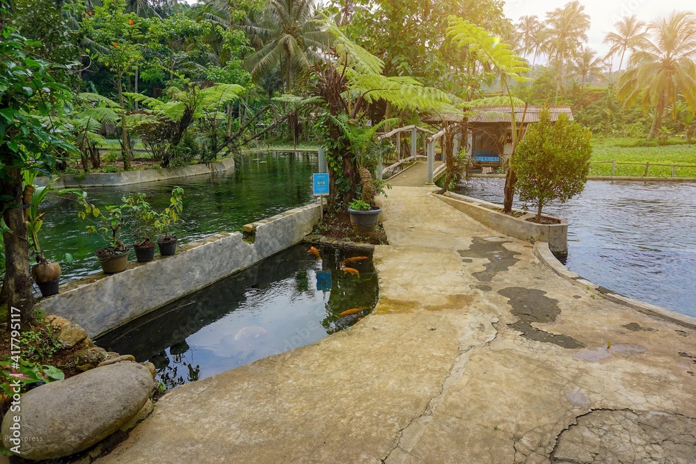 Path in the village. Clean water pool on the side of the road. Beautiful scenery in the village Path in the village. Clean water pool on the side of the road. Beautiful scenery in the village
