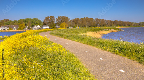 Bicycle track without cyclist with yellow flowers photo