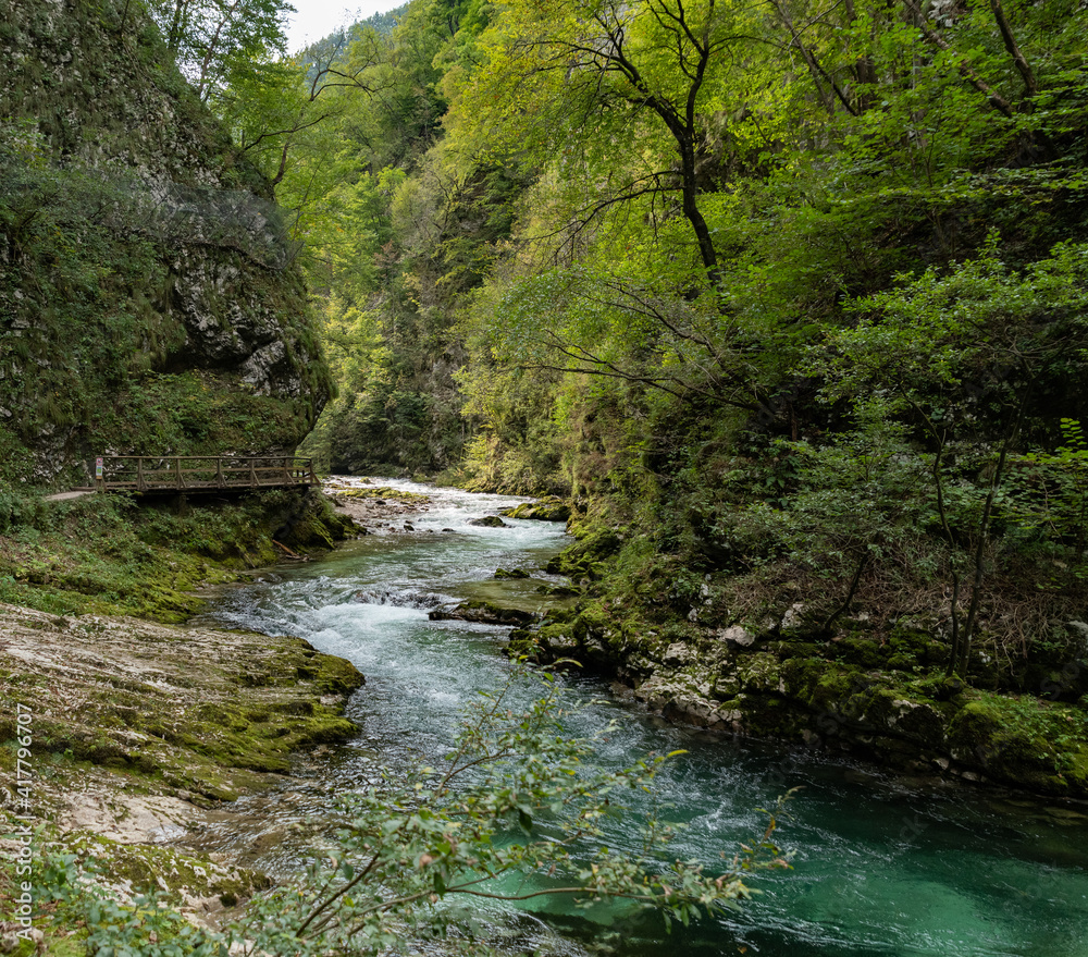 Vintgar Gorge in the Julian Alps (Slovenia, Europe) Vintgar Gorge in the Julian Alps (Slovenia, Europe)