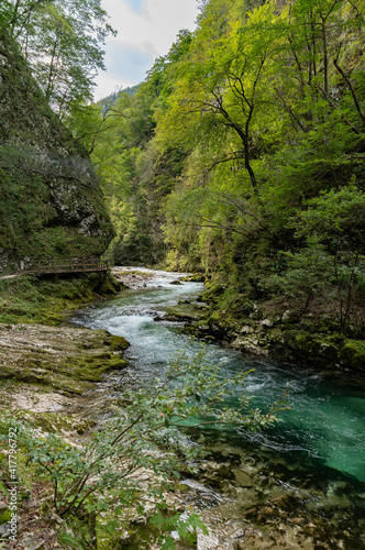 Vintgar Gorge in the Julian Alps  Slovenia  Europe 