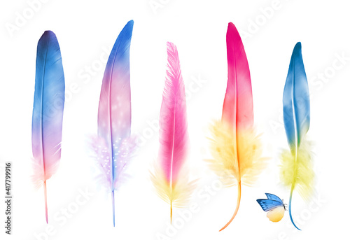 Collection of feathers of birds with small butterfly, isolated on white background. Set © suns07butterfly