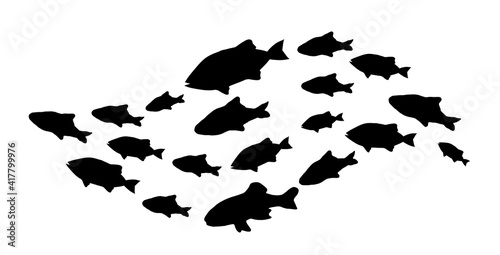 Silhouettes of groups of  fishes on white