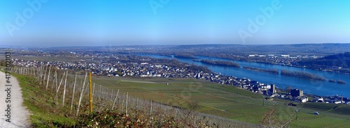 Rüdesheim am Rhein Panorama