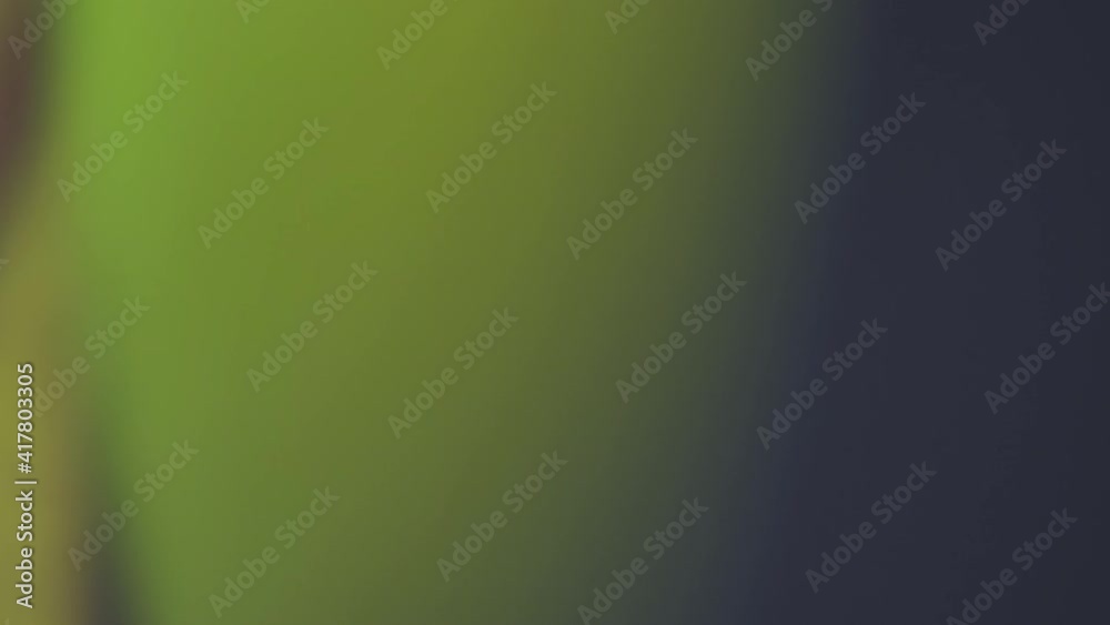 light blurred motion lens flares Textured Effect, Black color background, 4K, Video Clip stock footage. light blurred motion lens flares Textured Effect, Black color background, 4K, Video Clip stock footage.