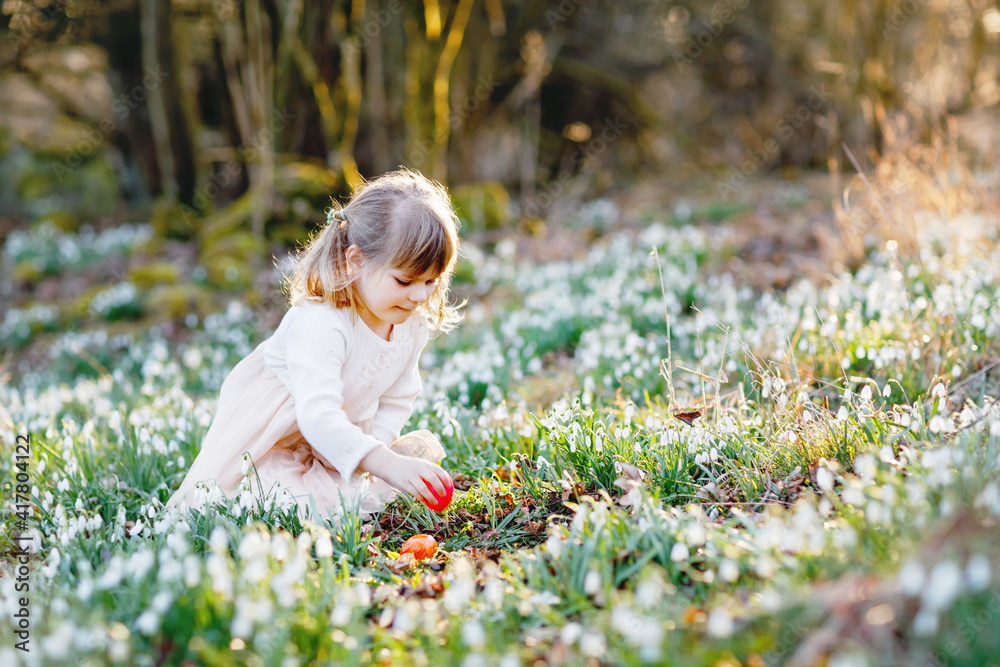 Little girl making Easter egg hunt in spring forest on sunny day, outdoors. Cute happy child with lots of snowdrop flowers and colored eggs. Springtime, christian holiday concept. Little girl making Easter egg hunt in spring forest on sunny day, outdoors. Cute happy child with lots of snowdrop flowers and colored eggs. Springtime, christian holiday concept.