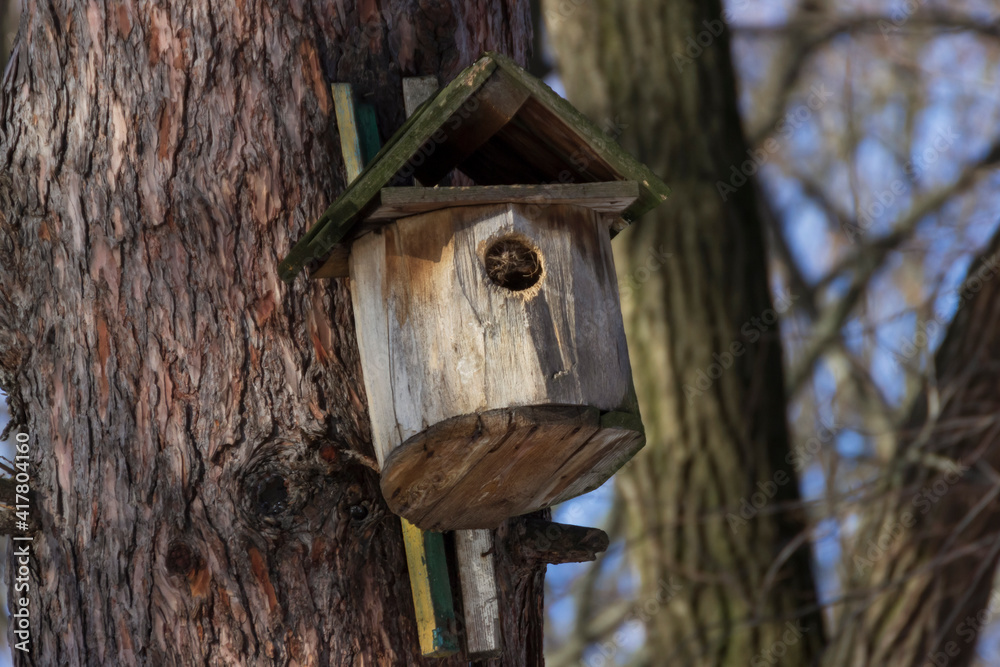 A birdhouse on a tree in spring in a park on Elagin Island in St. Petersburg.