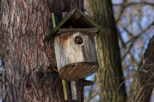 A birdhouse on a tree in spring in a park on Elagin Island in St. Petersburg.