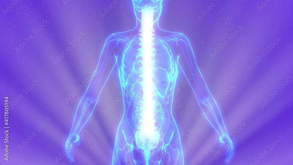 cg medical 3d illustration, chine on xray organism cg medical 3d illustration, chine on xray organism