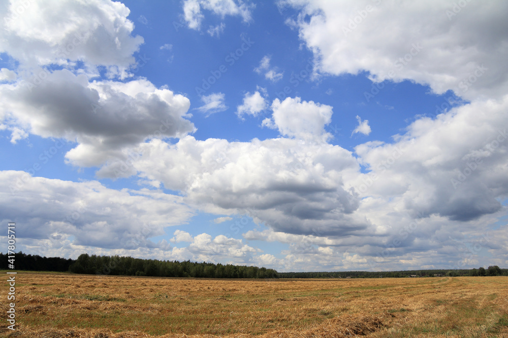 blue sky with clouds, field and forest. rural landscape in summer