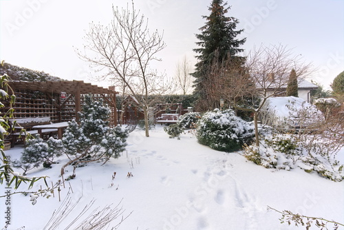 garden gazebo and winter garden 