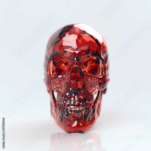 3d rendered human skull