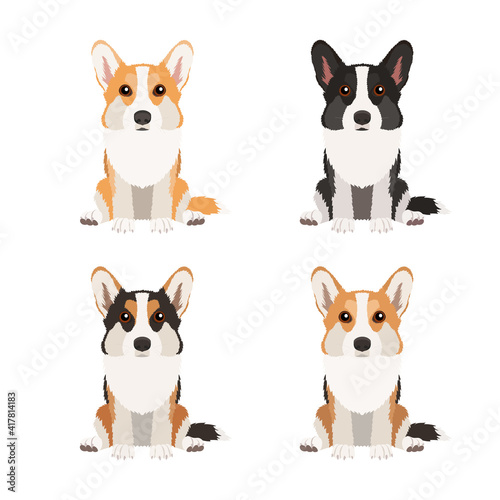Set of corgis in different colors isolated on white background. Vector dogs collection. Flat design	
